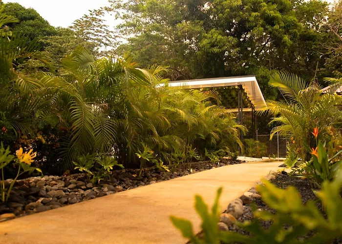 Tropical Hideaway Loft Hébergement de vacances Coco
